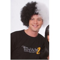 Afro Party Character Wig 2 Tone Colours