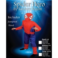 Spider Boy-Super Hero Costume