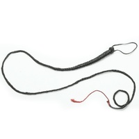 Whip Black 6 Foot Long Party Accessory