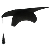 Graduation Cap Party Hat