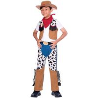 Cowboy woody inspired kids costume
