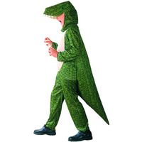 T-Rex Dinosaur Unisex Child Size Costume