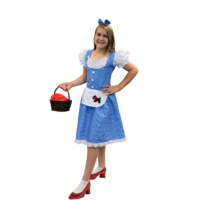 Dorothy Fairy Tale Tween  Costume