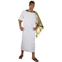 Ancient Man Toga Style Adult Costume