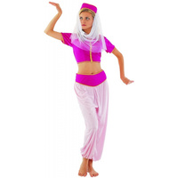 Arabian Princess Adult Female Costume-Medium/large