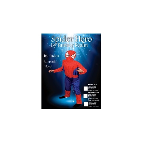 Spider Boy-Super Hero Costume Medium