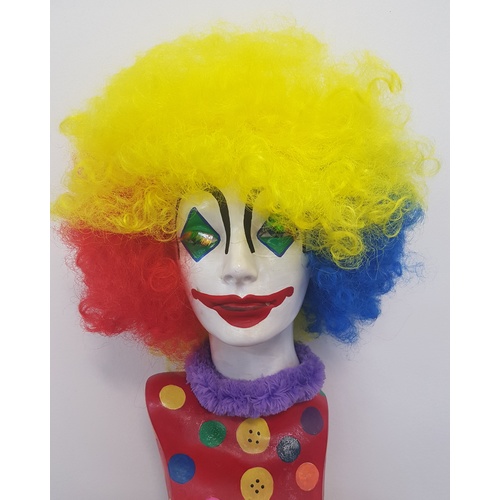 Multicolour Clown Wig