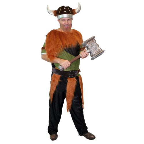 Viking Warrior Adult Party Costume