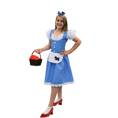 Dorothy Fairy Tale Tween  Costume