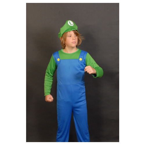PlumberBoy Luigi Costume