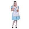 Alice In wonderland Costume Adult
