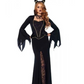 Evil Enchantress
