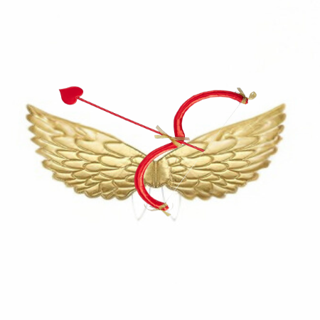 Cupid bow and arrow / Wings set